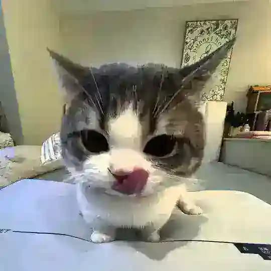 کلیک کن ایرانی و پولدار شو🤑🤑 Profile