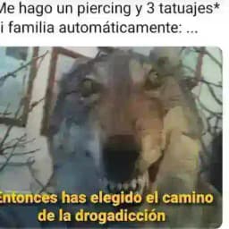 GALLEROS OFICIAL 𐐘 ඞ Profile