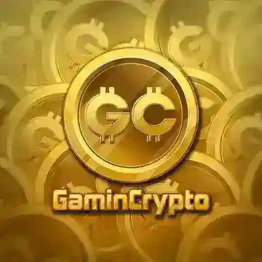 VIPGamin Chat Profile