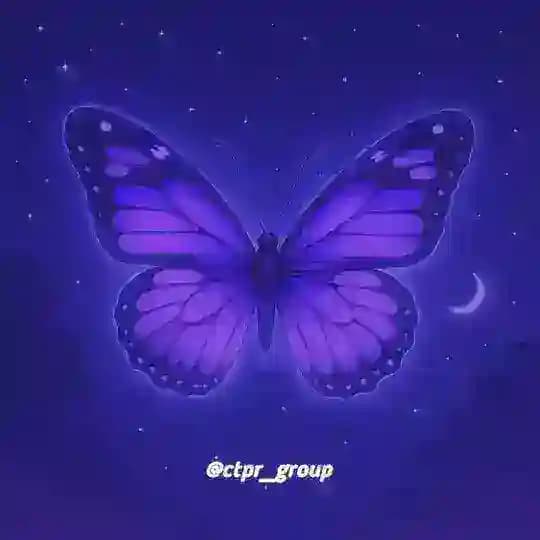 Cari Teman Pacar Random Profile