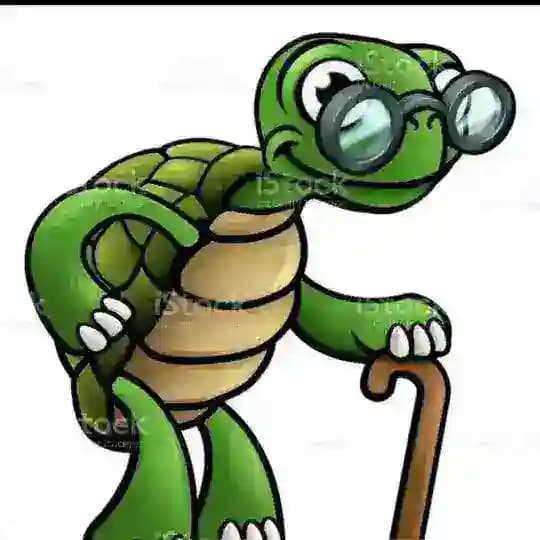 𝐆𝐄𝐁𝐄𝐒̧𝐋𝐄𝐑 𝐃𝐈̇𝐘𝐀𝐑𝐈 Profile