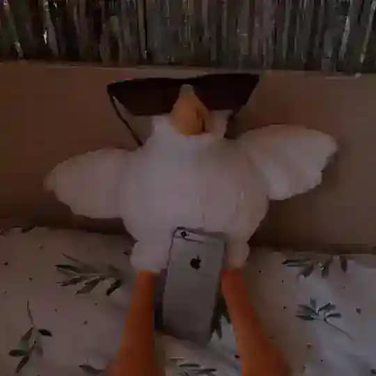 🤍☃️𝕯𝖚𝖉𝖊'𝖘-𝕲𝖗𝖊𝖘𝖎𝖘☃️🤍 Profile