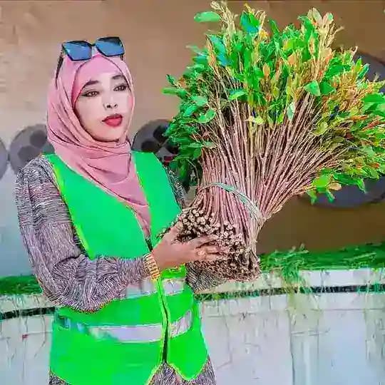 GOLDEN green Profile