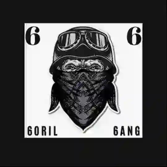 6ORİL 6ANG CHAT 🦍🦍 Profile