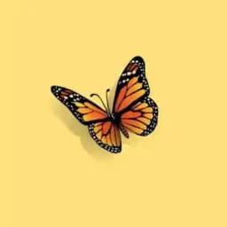 Cari Wong Jawa 😊 Profile