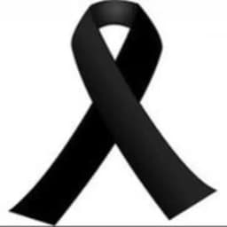 GUZMAN KİNG TİCARET 7/65 Profile