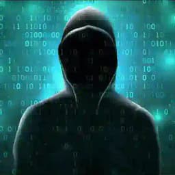 HecKeR HaBiT ☠️ Profile