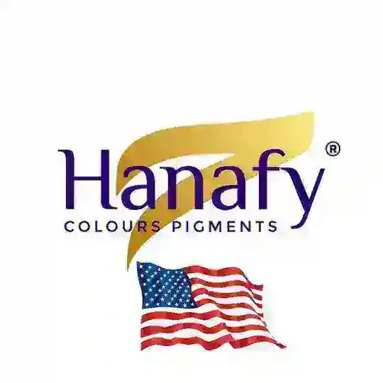 Hanafy English Profile