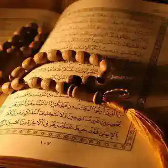 📖 Hatim Cüz Gurubu 📖 Profile