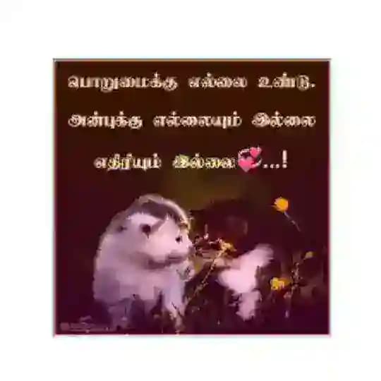 TN🤍அன்பு❤️தமிழன் Profile