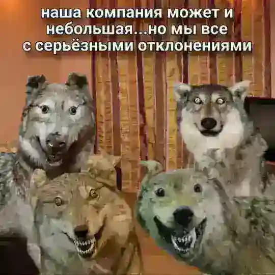 HEAD_SHOT-Fun😁 (Инфа по стримам) Profile