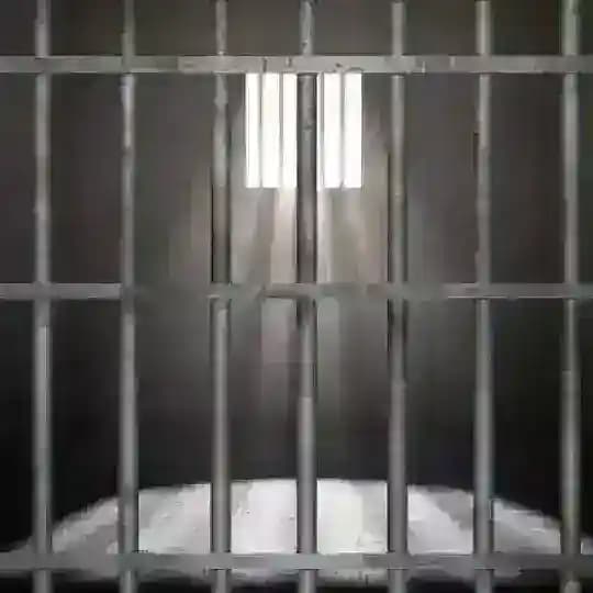 アニメグループ笑 Profile