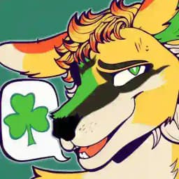 Fionnaí a labhraíonn Gaeilge Profile