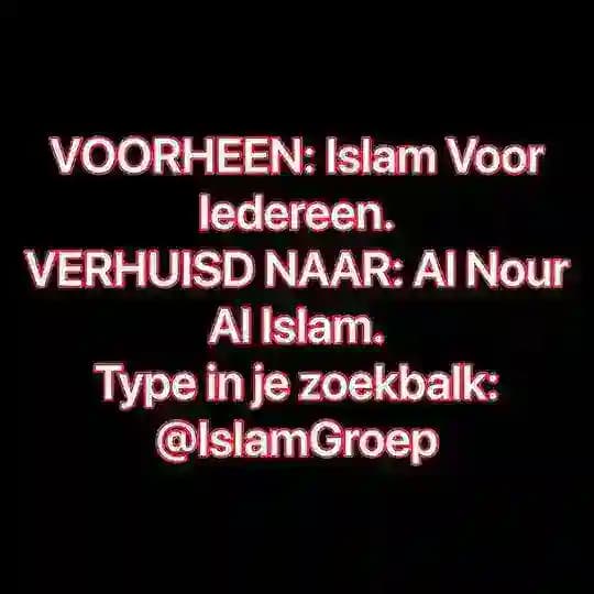 LEES BIO & PF! Profile