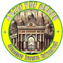 AUZEF ฤฐSTANBUL รNฤฐVERSฤฐTESฤฐ PDF Profile