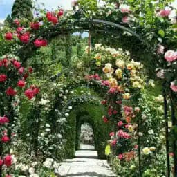 🥬 Jardinería Española 🇪🇸 Tips, plantas y mas 🌹🌻 Profile