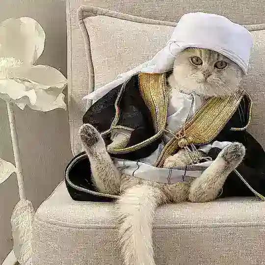 𓄂𝗞𝗔𝗦𝗜𝗕 𝗦𝗘𝗬𝗫𝗟𝗘𝗥👑 Profile