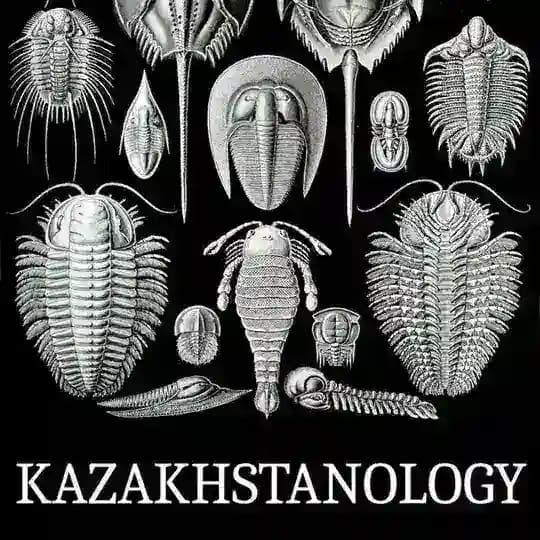 Kazakhstanology Profile