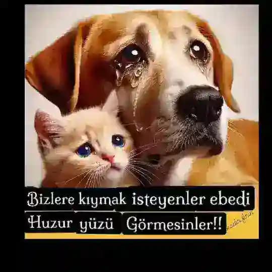 🇰𝘂̈𝐑𝐓💞🇰𝐈🇿𝐈☕🩵🕊️ Profile