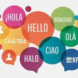 International Decent Language Group Profile