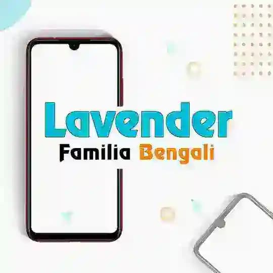 Lavender Familia | Bengali Profile