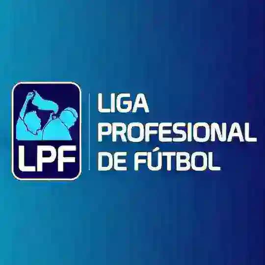 Liga profesional de Fútbol argentino Profile