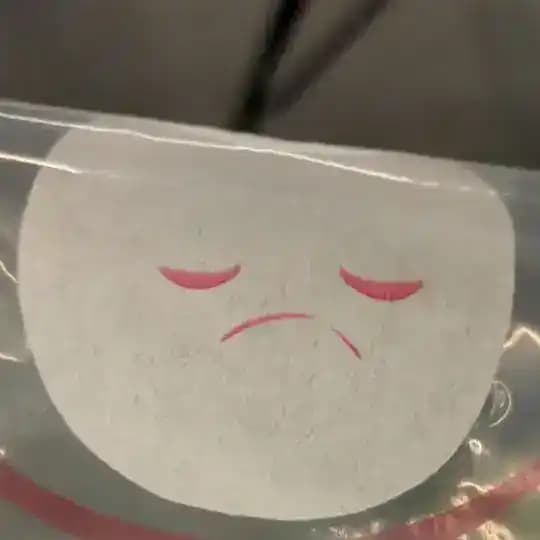 Boi's quorum Profile