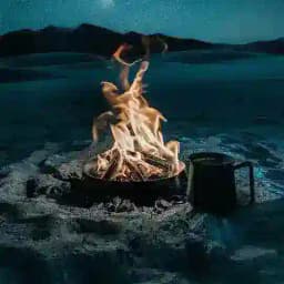 گپ جرعت حقیقت (گروه جرعت و حقیقت) Profile