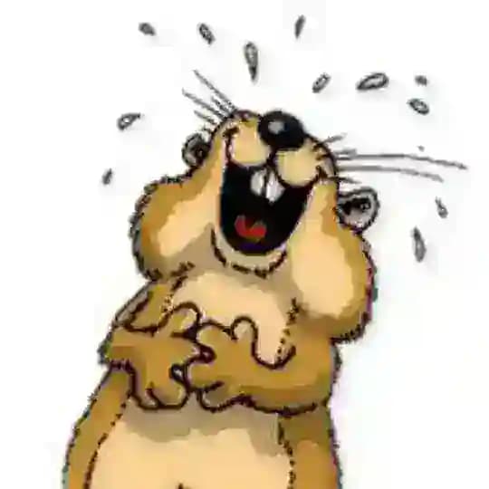 Lustige Bilder und Witze Profile