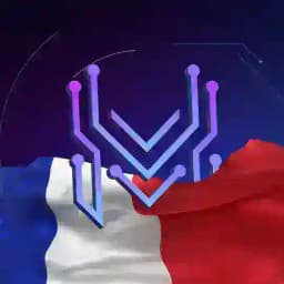 🇫🇷 Maestro France Profile