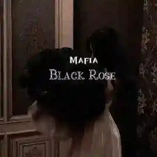 🥀𝔐𝔞𝔣𝔦𝔞 𝔅𝔩𝔞𝔠𝔨 ℜ𝔬𝔰𝔢🥀 Profile