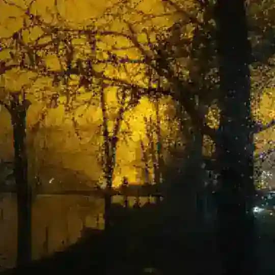 📿MARGLAN📿Musulman📿 Profile