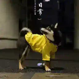 冒菜の居酒屋 Profile