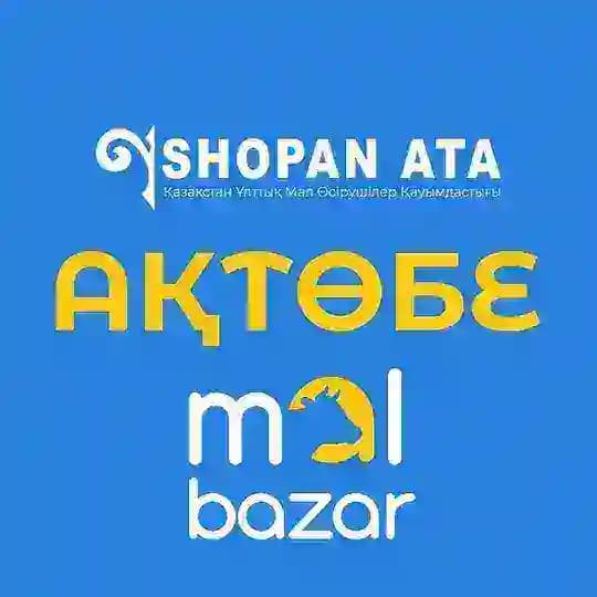 04 | Шопан Ата (Ақтөбе) Profile