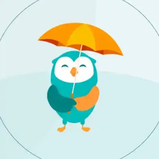 MoneyOwl Chats 💬🦉 Profile