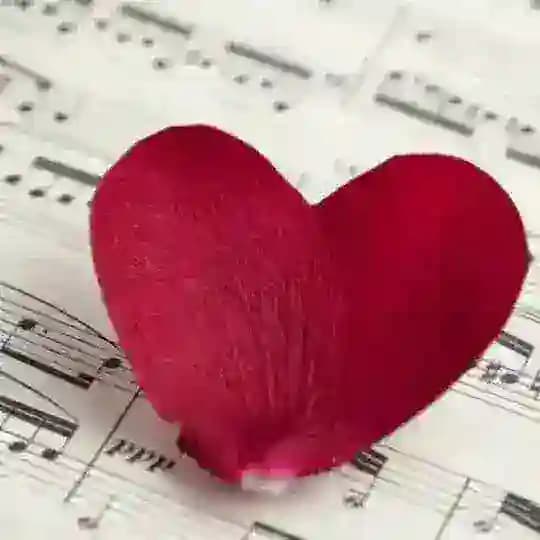 Músicas románticas Profile