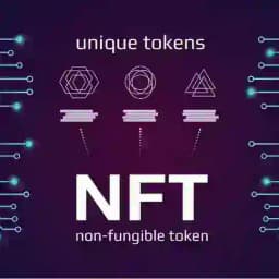 NTFs Collection English/Español Profile