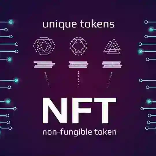 NTFs Collection English/Español Profile