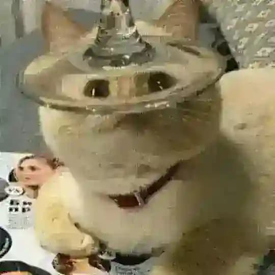 飞机协议号 TG号 会员号软件 Profile