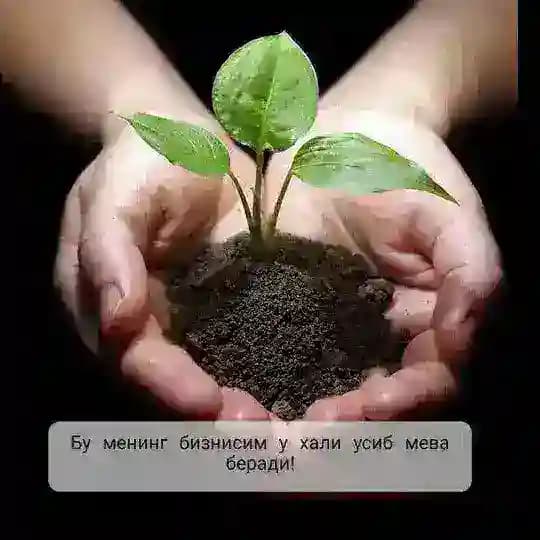 NL билан соглом ва гузал хаёт❤️💃❤️ Profile