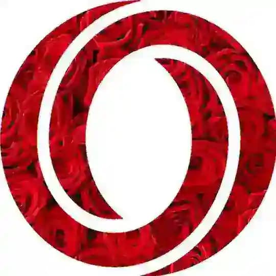 OasisNetworkCommunity_Spanish Profile