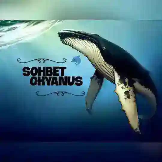 👋🏻 EL KOYULDU Profile