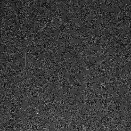 ÖLÜMSÜZLER 🇹🇷 Profile