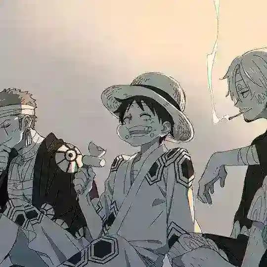 ONE PIECE TEAM Profile
