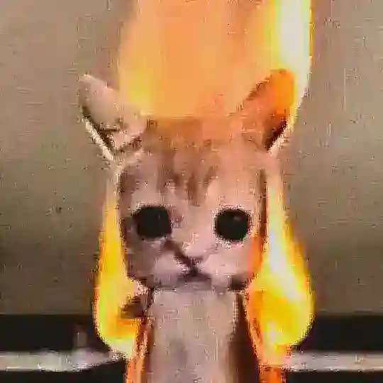 ᖘ𐌳ᕒ𐌱𐌻𐌴𐌺𐌳𐌻𐌏𐌱𐌺𐌳🎈 Profile