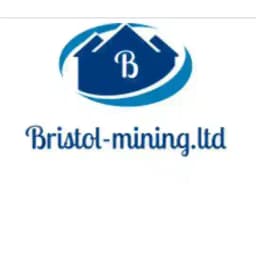 BRISTOL-MINING LTD 📊 Profile