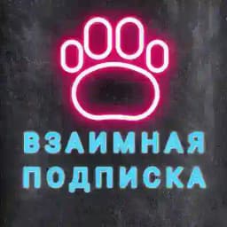 Взаимная подписка | Взаимный пиар Profile