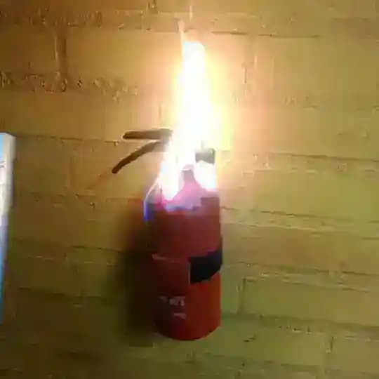 Política com Liberdade de Expressão (sem bans) Profile