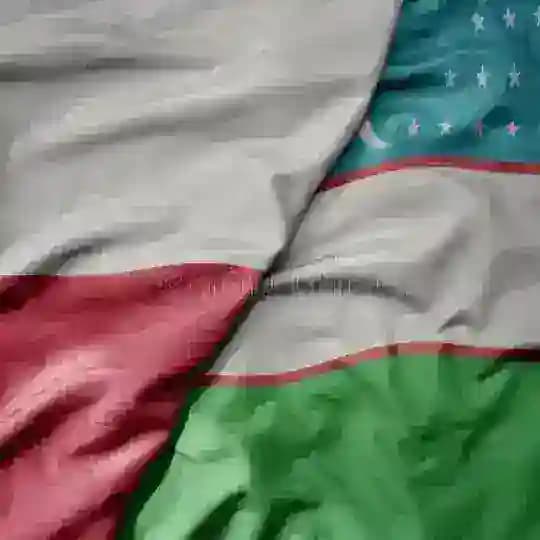 Polsha 🇵🇱 Узбеки в Польше 🇺🇿||Polshadagi 🇵🇱 Uzbeklar 🇺🇿 Official Profile