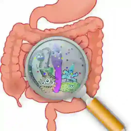 DESPARASITACIÓN PROTOCOLO P KALCKER Profile